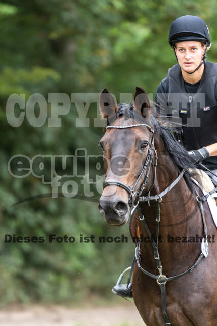 Late-Entry-Vielseitigkeit Langenfeld (11.+13./14.06.2020)