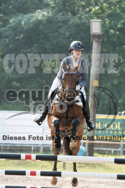 Vielseitigkeitsturnier RFV Bad Honnef