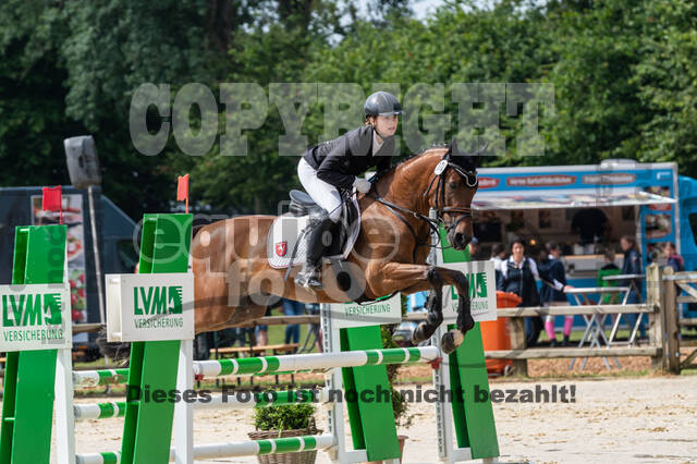 Goldene Schärpe 2021 - Ponys