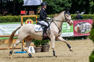 Goldene Schärpe 2021 - Ponys