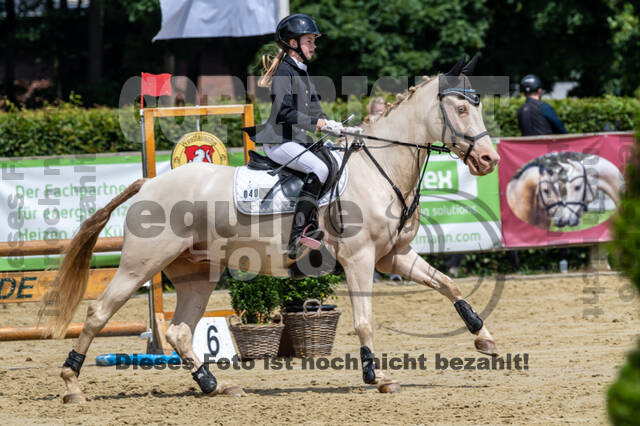 Goldene Schärpe 2021 - Ponys