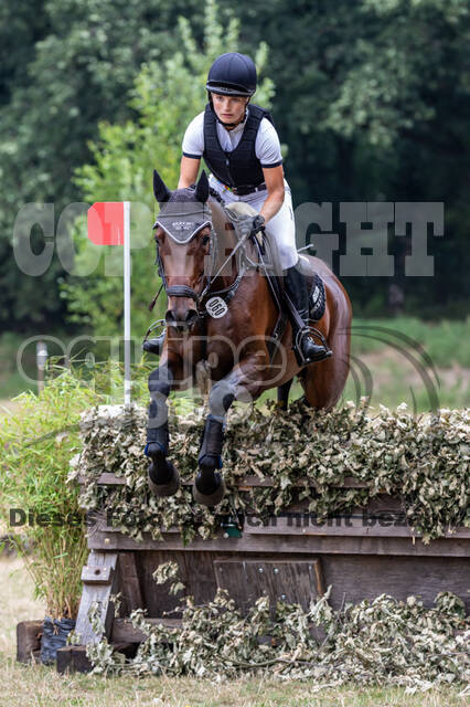 Late-Entry Vielseitigkeit Hamminkeln/Wesel (01.+02.08.2020)