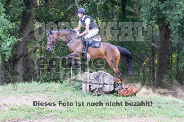 Late-Entry Vielseitigkeit Hamminkeln/Wesel (01.+02.08.2020)