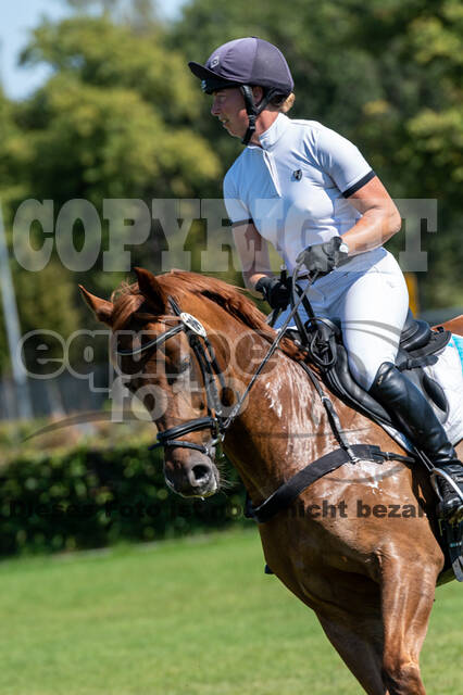 Kronenberg - De Peelbergen (August 2020)