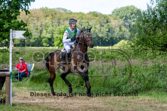 Westerstede Horse Trials (10.-13.06.2021)