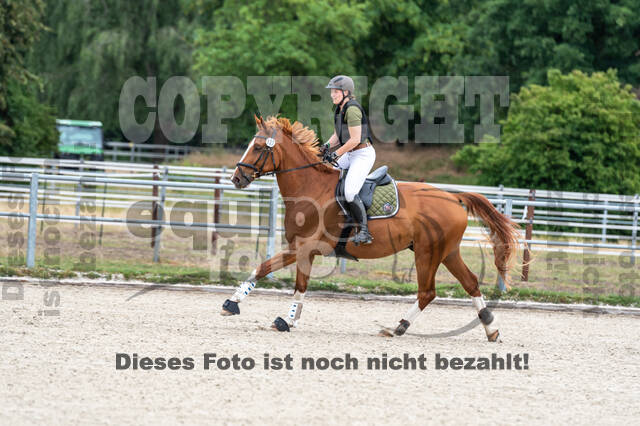 Late-Entry-Vielseitigkeit Langenfeld (11.+13./14.06.2020)