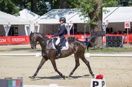 FEI European Championship