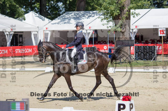 FEI European Championship