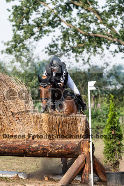 De Peelbergen (August 2020)