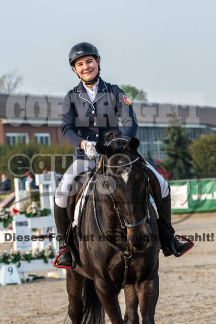 Goldene Schärpe 2020 - Pferde