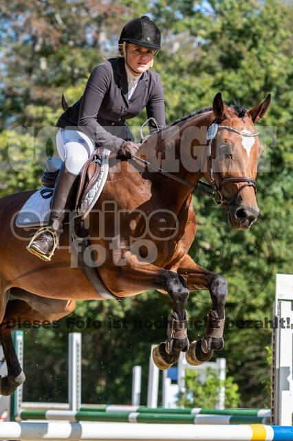 RFV Dinslaken-Hiesfeld (Herbstturnier)