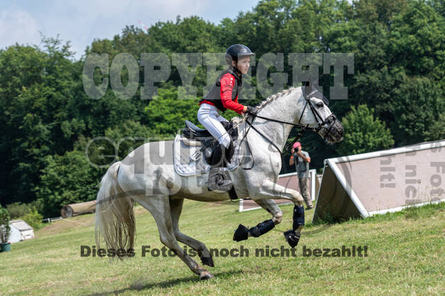 Goldene Schärpe 2021 - Ponys