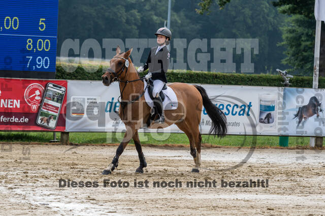 Goldene Schärpe 2021 - Ponys