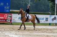 Goldene Schärpe 2021 - Ponys