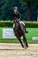 Goldene Schärpe 2021 - Ponys