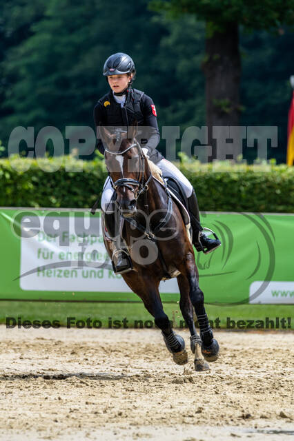Goldene Schärpe 2021 - Ponys