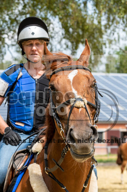Hunter Geländetraining 10.07.2021 (Sonsbeck)