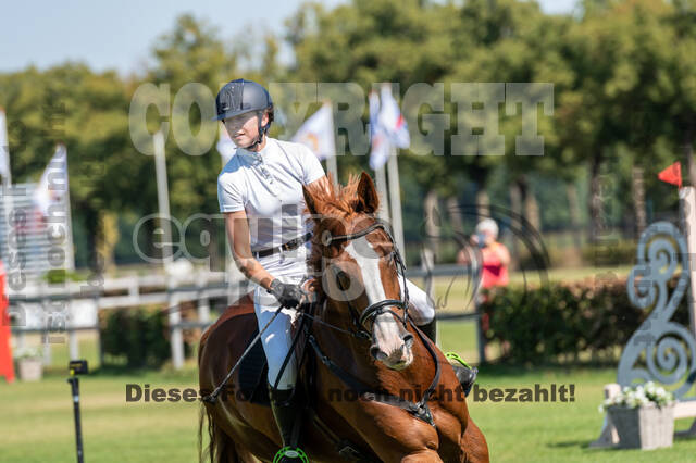 Kronenberg - De Peelbergen (August 2020)