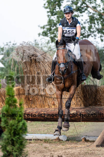 De Peelbergen (August 2020)