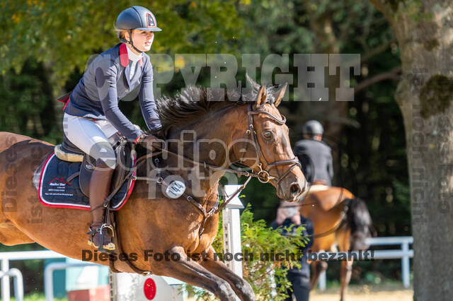 RFV Dinslaken-Hiesfeld (Herbstturnier)