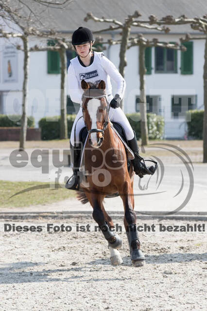 Eventing Langenfeld 2018