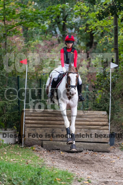 Goldene Schärpe 2020 - Pferde