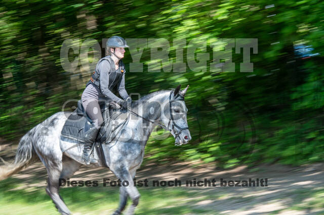 Test of Choise Langenfeld (29.+30.05.2021)