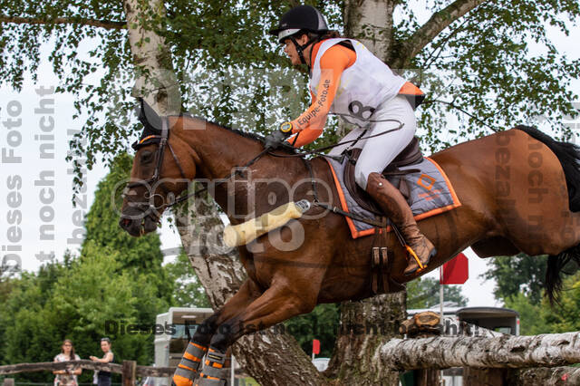 Late-Entry Vielseitigkeit Hamminkeln/Wesel (01.+02.08.2020)