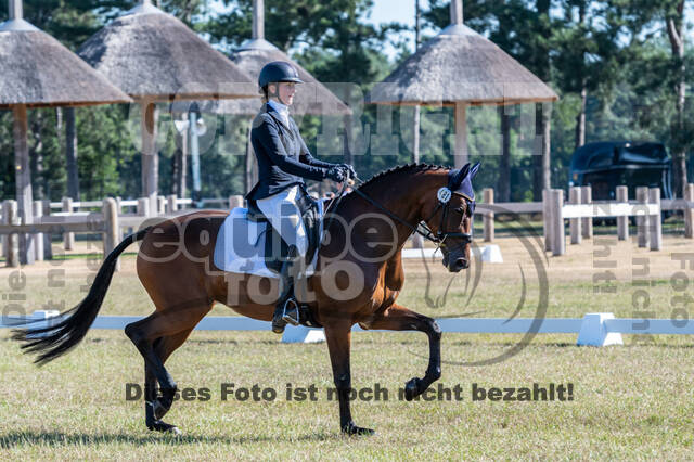 Kronenberg - De Peelbergen (August 2020)