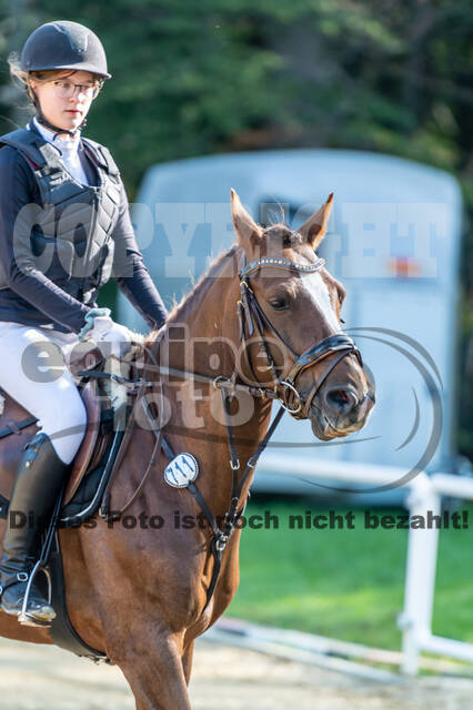 RFV Dinslaken-Hiesfeld (Herbstturnier)