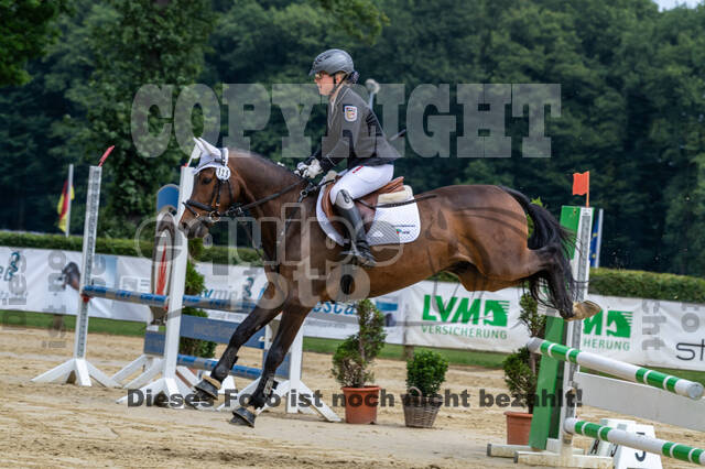 Goldene Schärpe 2021 - Ponys