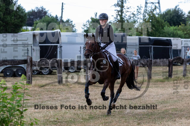 Late-Entry Vielseitigkeit Hamminkeln/Wesel (01.+02.08.2020)