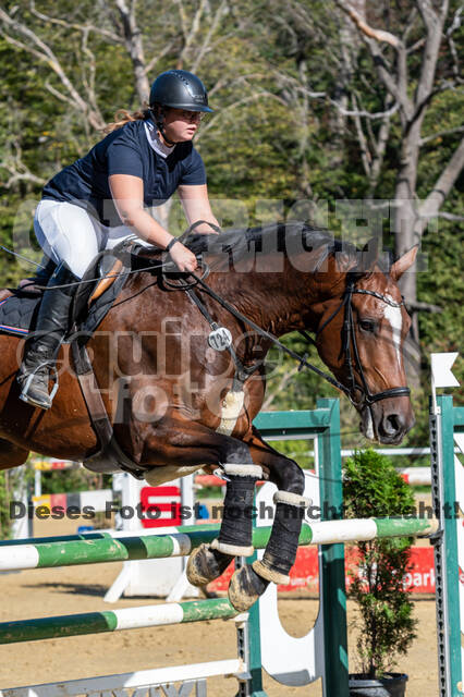 RFV Dinslaken-Hiesfeld (Herbstturnier)