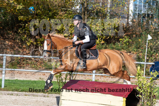 IGV Lehrgang der Sieger der Cups mit Frank Ostholt