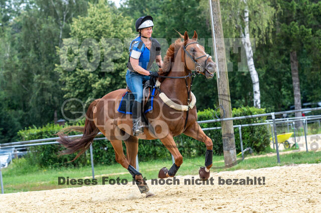 Hunter Geländetraining 10.07.2021 (Sonsbeck)