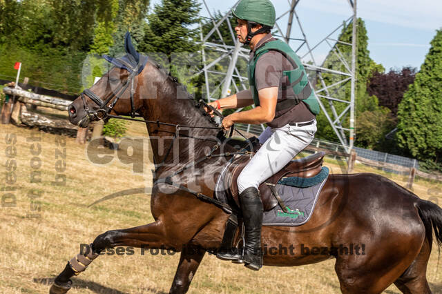 Late-Entry Vielseitigkeit Hamminkeln/Wesel (01.+02.08.2020)