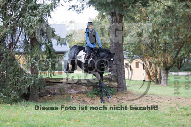 IGV Lehrgang der Sieger der Cups mit Frank Ostholt