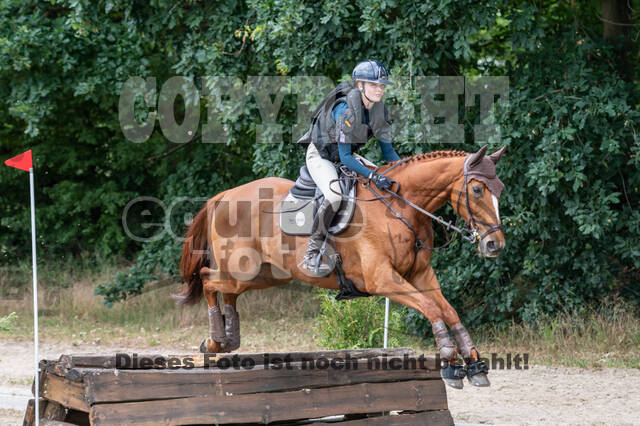 Late-Entry-Vielseitigkeit Langenfeld (11.+13./14.06.2020)