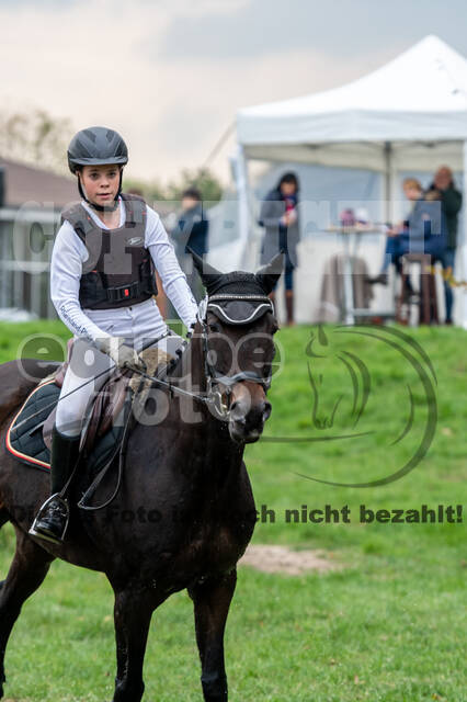 Goldene Schärpe 2020 - Pferde