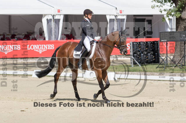 FEI European Championship Eventing 2017