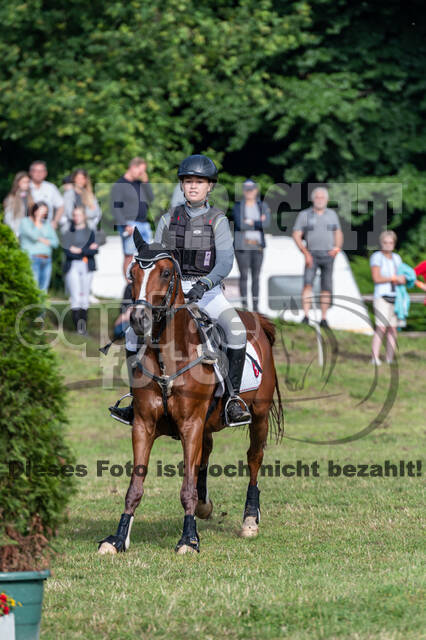 Goldene Schärpe 2021 - Ponys