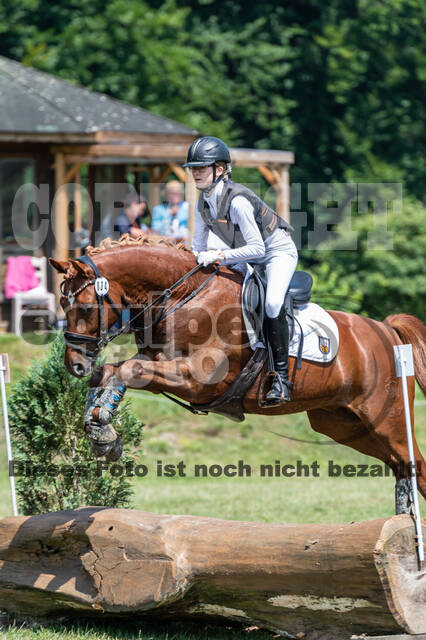 Goldene Schärpe 2021 - Ponys