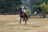 Late-Entry Vielseitigkeit Hamminkeln/Wesel (01.+02.08.2020)