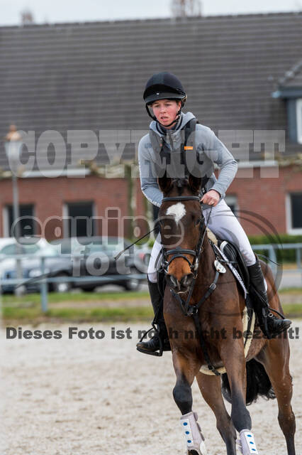 Eventing im Pferdesportzentrum Rheinland (Late Entry 14.03.2022)