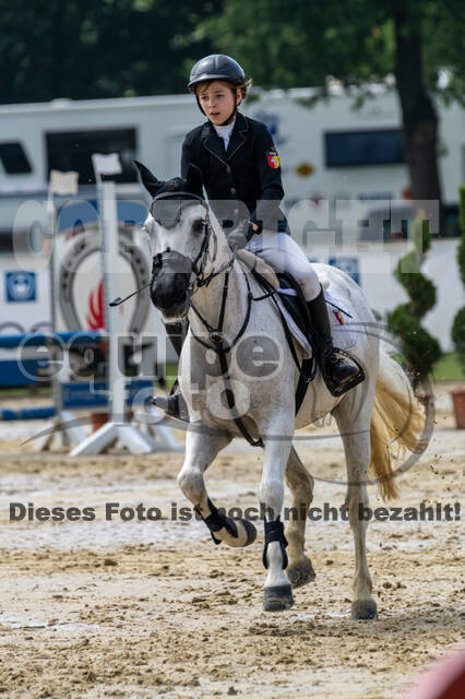 Goldene Schärpe 2021 - Ponys