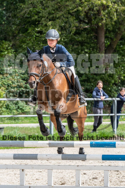 Late-Entry-Vielseitigkeit Langenfeld (06.+07.07.2020)