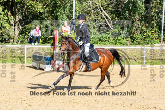 RFV Dinslaken-Hiesfeld (Herbstturnier)
