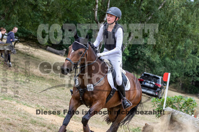 Late-Entry Vielseitigkeit Hamminkeln/Wesel (01.+02.08.2020)