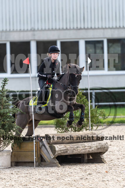 IGV Lehrgang der Sieger der Cups mit Frank Ostholt