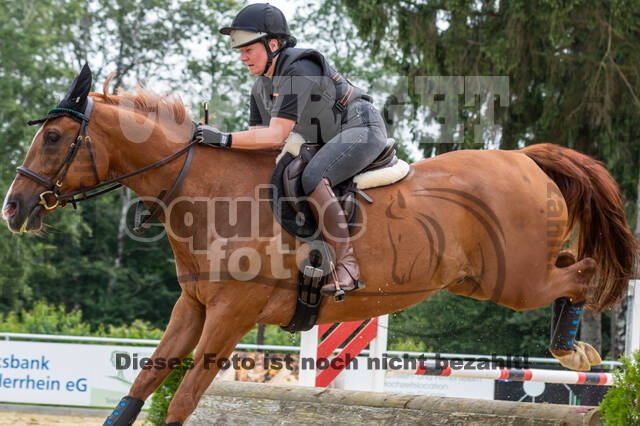 Hunter Geländetraining 10.07.2021 (Sonsbeck)